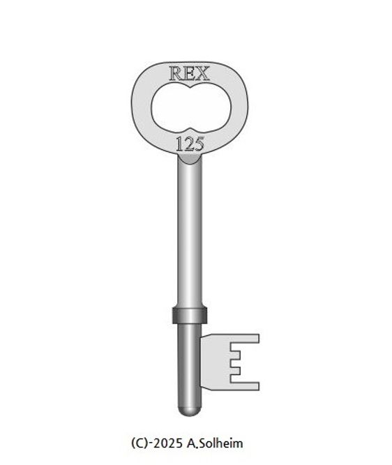 Hovedbilde Rex 125